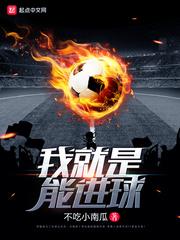 足球我就是能进球